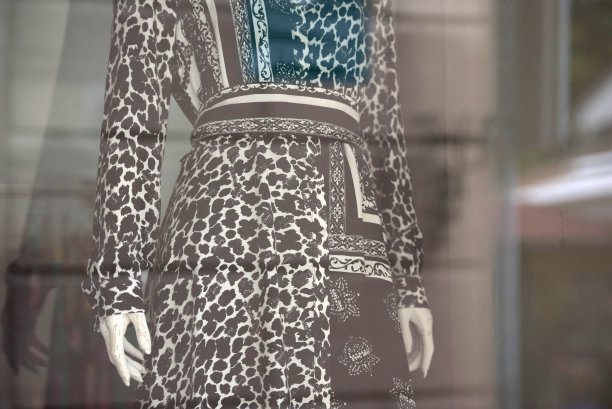 波斯尼亚和黑塞哥维那萨拉热窝老城步行区的商店橱窗图片下载