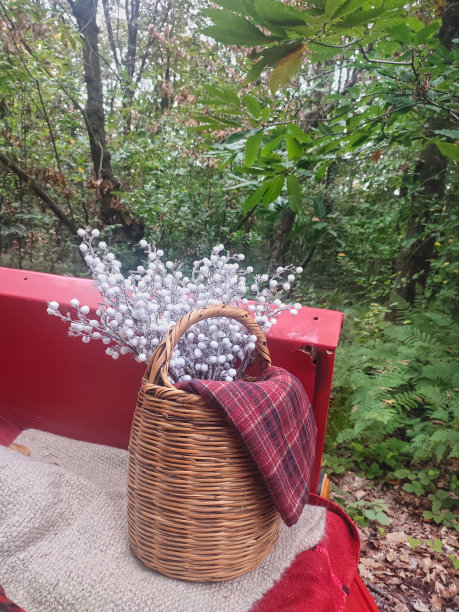 旧皮卡上的圣诞花图片下载