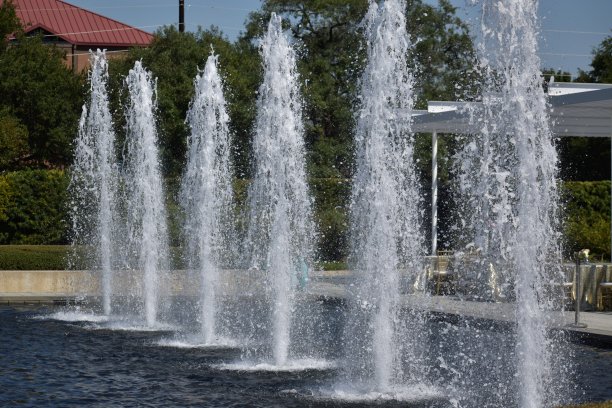 赫尔曼公园温室喷泉图片下载