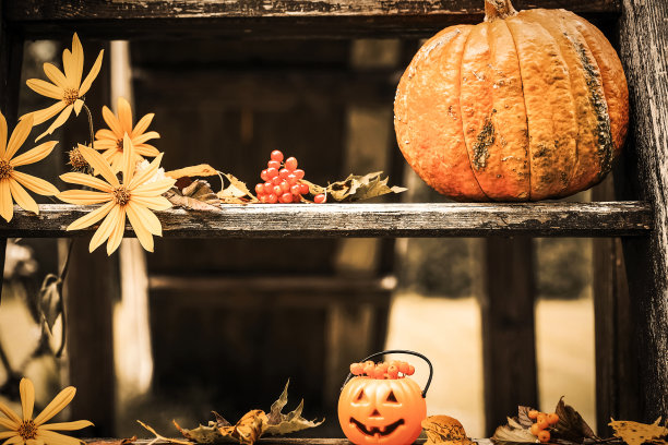 万圣节设计庭院与干燥的落叶。在秋天的时候，房子美丽的木制门廊和南瓜。图片下载