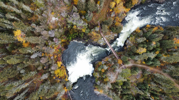 树木和河流-北马尼托巴-加拿大图片下载