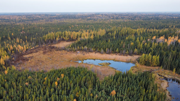 秋天的颜色-北曼尼托巴-加拿大图片下载
