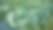 白菜植物种植园-有机蔬菜种植园图片下载