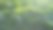 芥菜植物种植园-有机蔬菜种植园图片下载