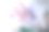 粉色兰花015. jpg图片下载
