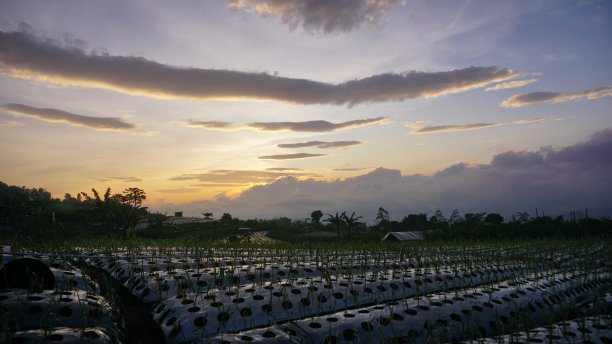 日出时的橙色多云天空图片下载