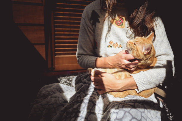 在家里度过慵懒时光的概念。宠物和人的概念图片下载