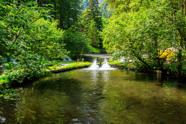 鳟鱼养殖场的人工池塘图片下载
