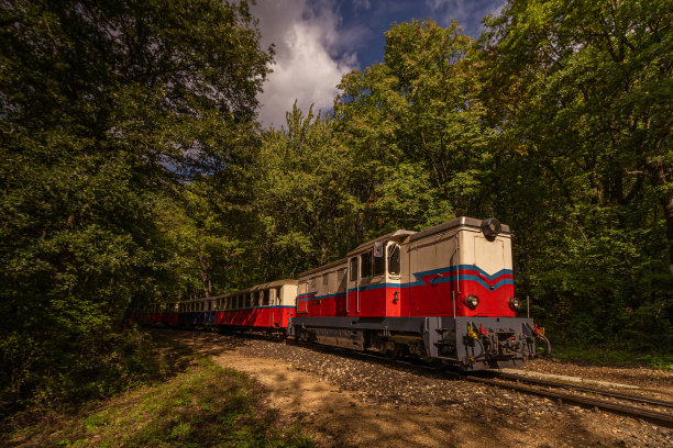 森林中的铁路图片下载