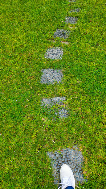 草地上的踏石小径。图片下载
