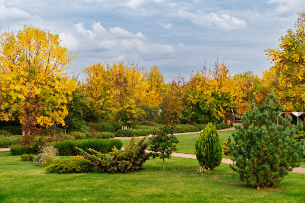 公园上空乌云密布。自然之美。图片下载