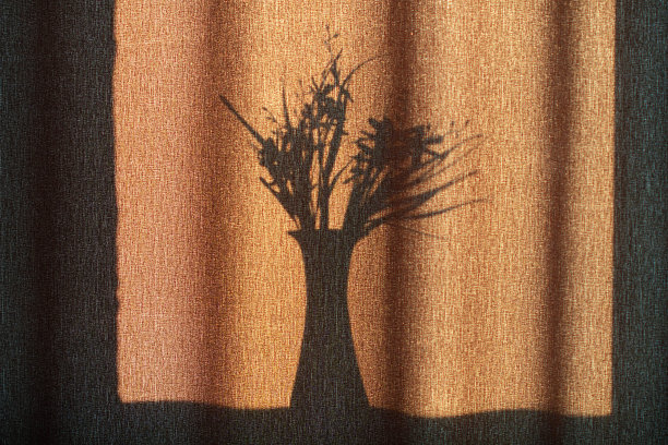 窗帘上有花的花瓶的影子。在明亮的阳光下，一个花瓶和一束花的黑色剪影在棕色织物窗帘的背景下。文本的复制空间图片下载