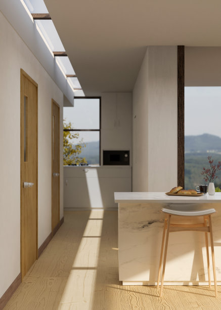 现代斯堪的纳维亚走廊和厨房烹饪空间与大理石厨房台面图片下载