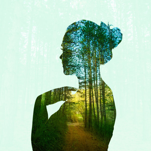 与自然的接触图片下载