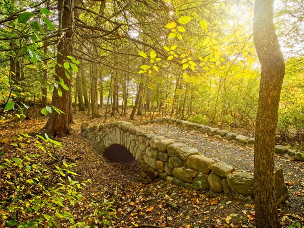 汉密尔顿的葡萄园山保护区是马萨诸塞州东北部一个风景特别优美的林地图片下载