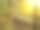 汉密尔顿的葡萄园山保护区是马萨诸塞州东北部一个风景特别优美的林地图片下载