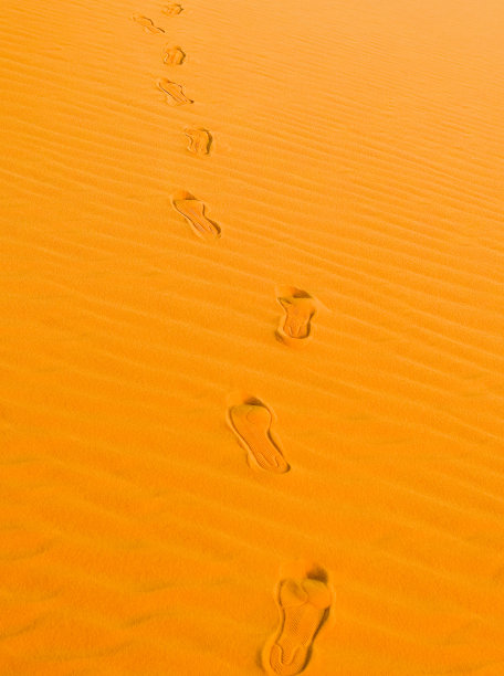 沙滩上的脚印图片下载