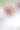 用盘子、餐具和鲜花装饰的现代婚礼餐桌图片下载