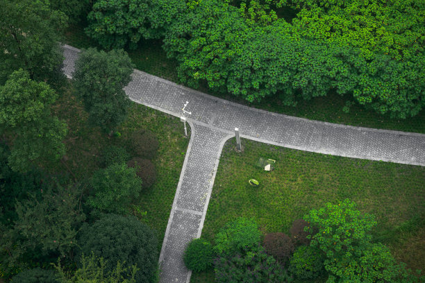 草坪上图片下载