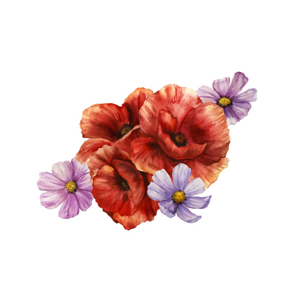 花卉水彩插图植物插图孤立，花束图片下载