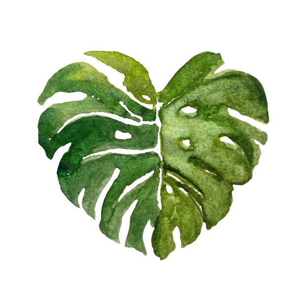 一个漂亮的水彩插图图片下载