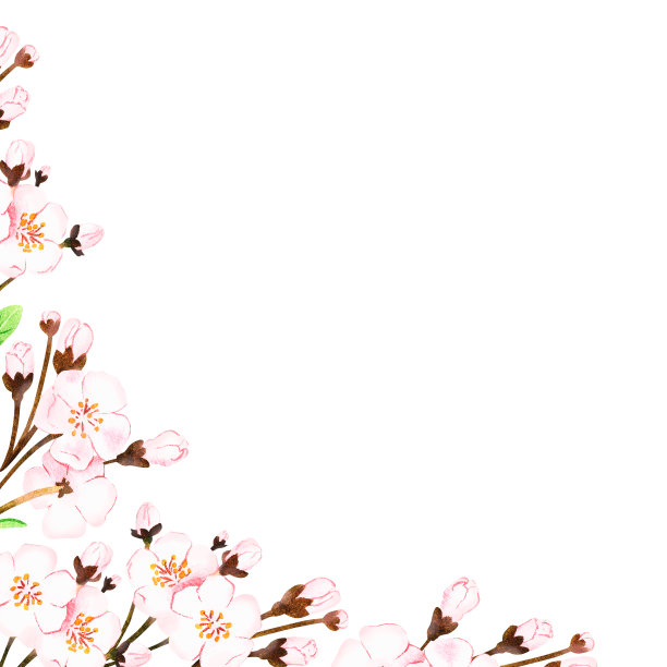 粉色花朵的一角。水彩插图。孤立在白色背景上。为设计。图片下载