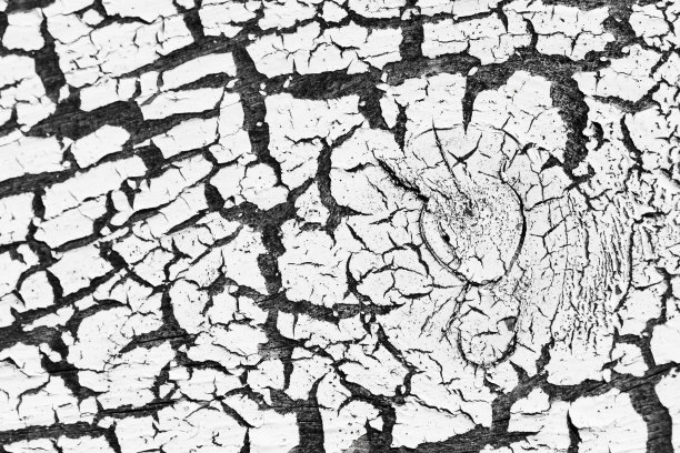 老木墙带剥落的白漆层，有质感图片下载