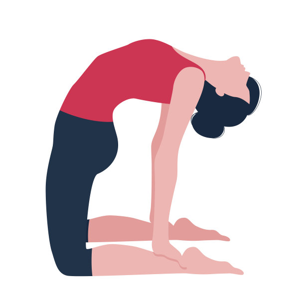 在白色背景下做瑜伽的妇女图片下载