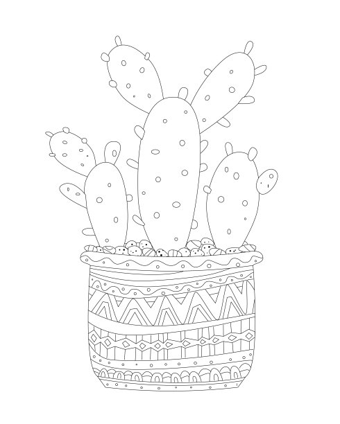 华丽的装饰花盆生长的Opuntia仙人掌室内植物为您的涂色书图片下载