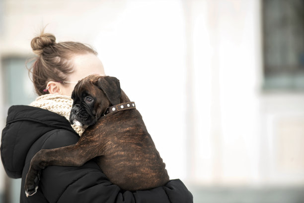 冬天和小宠物狗散步图片下载