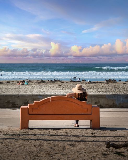 背面的女性坐在长凳上，看着海滩图片下载
