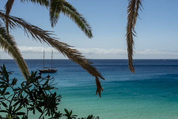 西班牙加那利岛富尔特文图拉岛莫罗贾布尔的普拉亚德尔马托拉尔海滩。图片下载
