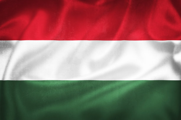匈牙利国旗的Grunge 3D插图图片下载