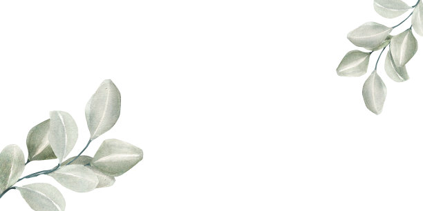 木板冬季植物水彩插图孤立在白色。图片下载