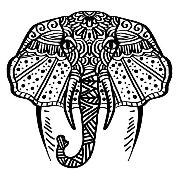 大象头像涂鸦艺术手绘插画。图片下载