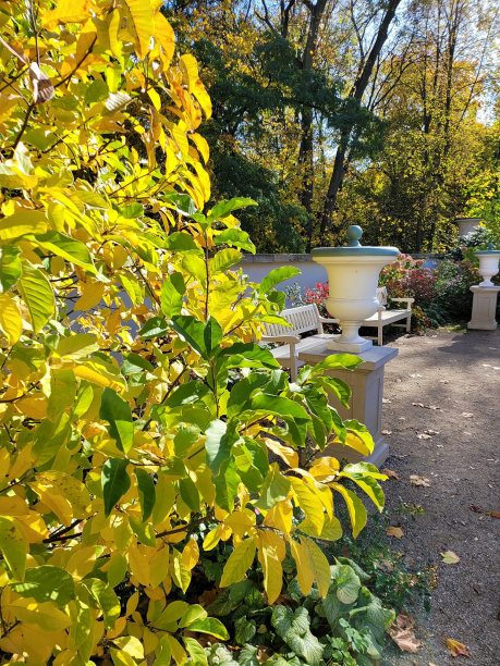 秋季11图片下载