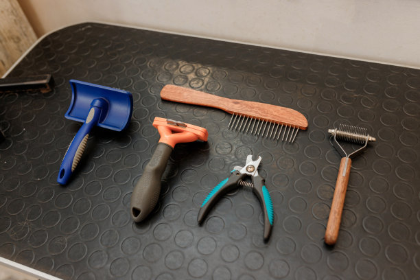 用于犬类梳理的配件如电动宠物剪、梳理剪刀、毛刷等。广告的概念是梳理和照顾狗。背景与复制空间的主题宠物护理图片下载