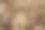 成熟的小麦的耳朵。特写照片。图片下载