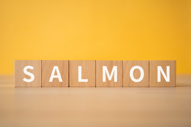 木块与“SALMON”文本的概念。图片下载