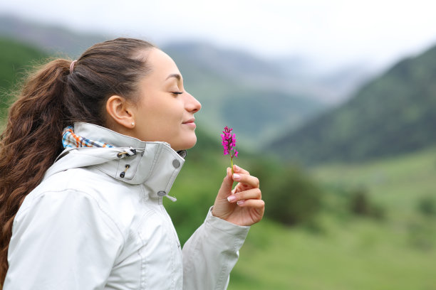 徒步旅行者在山上闻野花图片下载