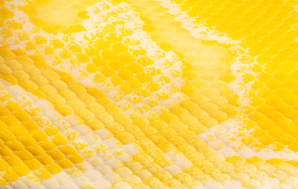 微距黄蛇鳞片纹理，近景金蟒(python bivittatus)皮肤纹理，金蟒鳞片，纹理。有白纹的活黄蛇的皮黄金网状图片下载