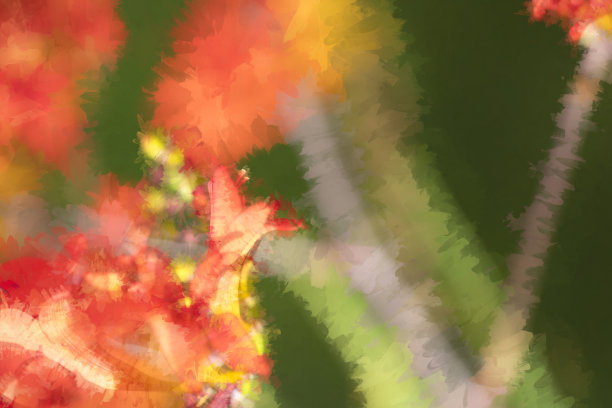 Crocosmia花文摘图片下载