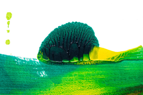 用罗夏墨迹法在白纸底色上画出绿色、黄色和棕色的抽象丙烯画色彩纹理图片下载