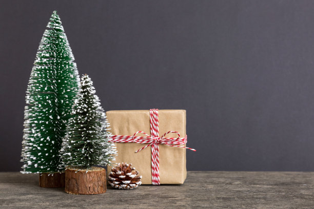 圣诞组成。白色背景上的礼物，小树，树枝和手工DIY装饰。新年的概念。平铺，俯视图，复制空间图片下载