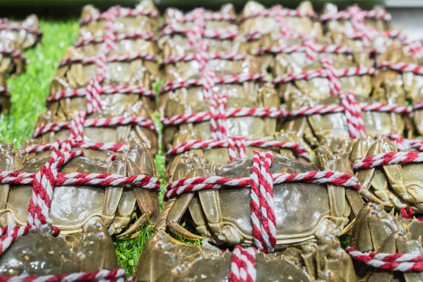 生大闸蟹，上海大闸蟹图片下载