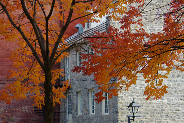 秋天的蒙特利尔和它的建筑图片下载