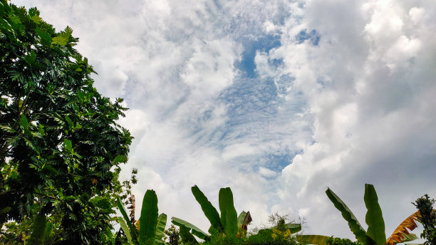 晴天的云层图案。图片下载