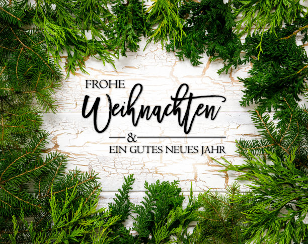 圣诞节，冷杉枝，德语文本Gutes Neues Jahr的意思是新年快乐图片下载