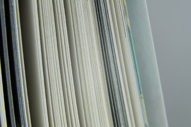 页面的特写图片下载