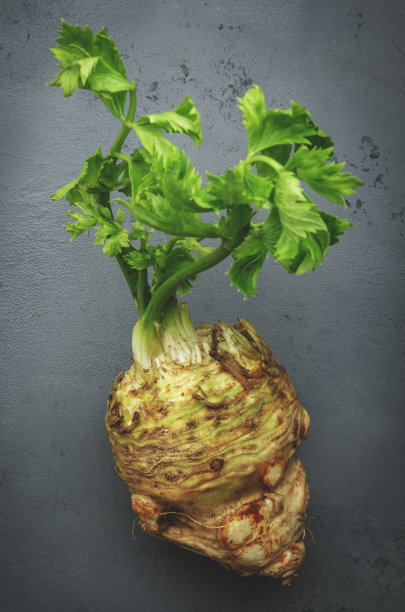 芹菜根与绿色茎，灰色石头厨房餐桌背景，俯视图图片下载